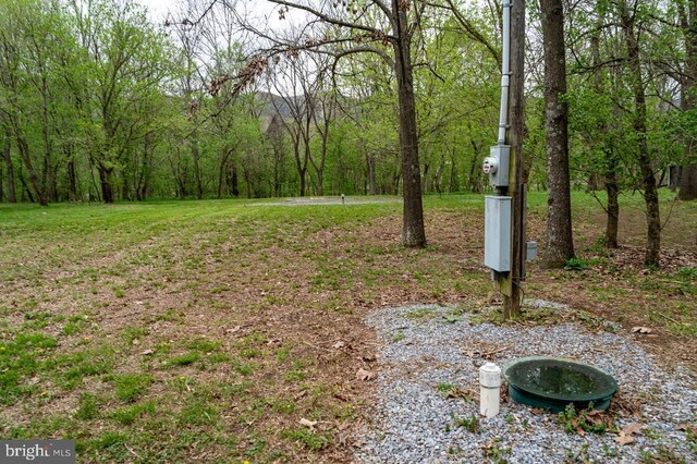 River View Rd, Shenandoah, VA 22849 - photo 13