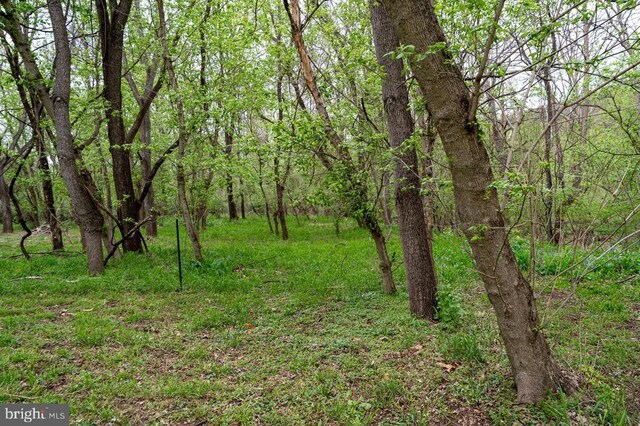 River View Rd, Shenandoah, VA 22849 - photo 18