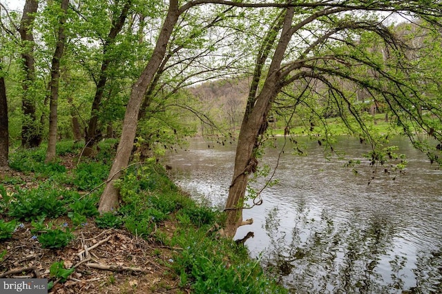 River View Rd, Shenandoah, VA 22849 - photo 21