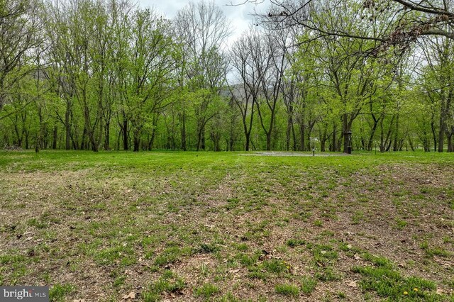River View Rd, Shenandoah, VA 22849 - photo 29