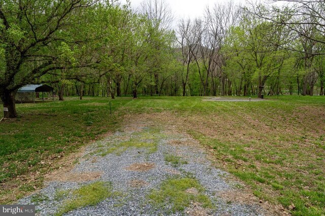 River View Rd, Shenandoah, VA 22849 - photo 7