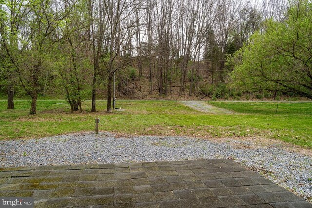 River View Rd, Shenandoah, VA 22849 - photo 14