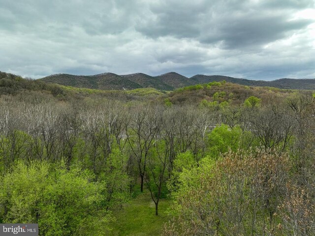 River View Rd, Shenandoah, VA 22849 - photo 30