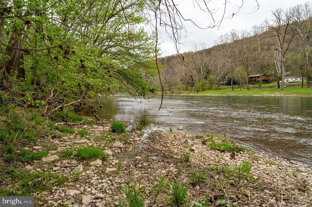 River View Rd, Shenandoah, VA 22849 - photo 25