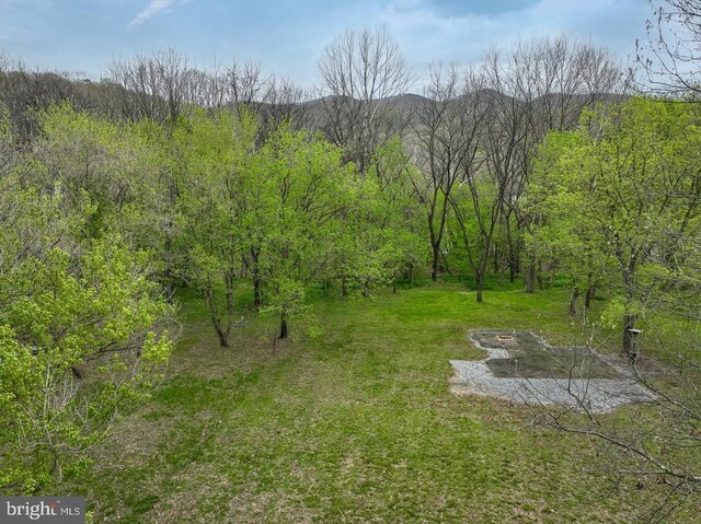 River View Rd, Shenandoah, VA 22849 - photo 5