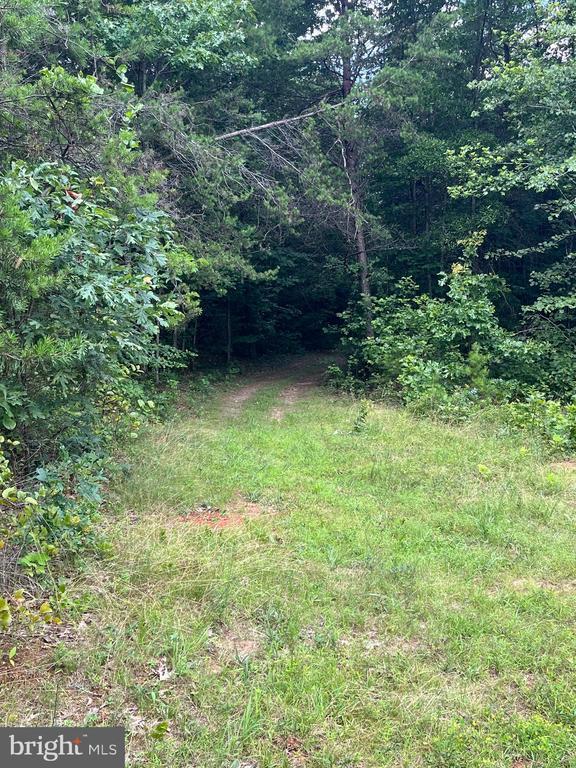 7609 Lawyers Rd, Spotsylvania, VA 22551 - photo 1