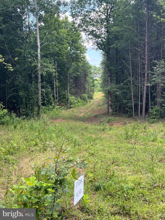 7609 Lawyers Rd, Spotsylvania, VA 22551 - photo 3