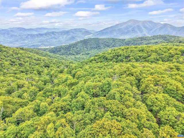 134 Gumtree Dr, Wintergreen Resort, VA 22967 - mountain view with a heavily wooded area