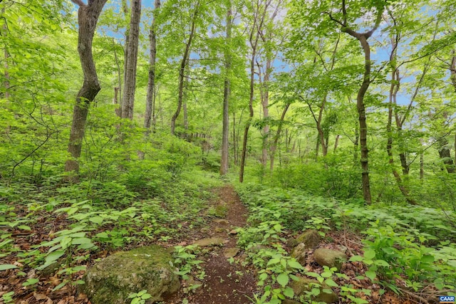 134 Gumtree Dr, Wintergreen Resort, VA 22967 - view of tree filled area