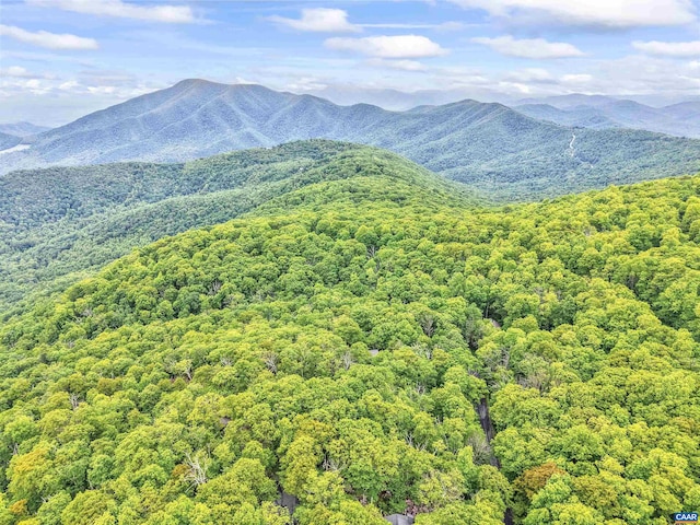 134 Gumtree Dr, Wintergreen Resort, VA 22967 - view of mountain background featuring a heavily wooded area