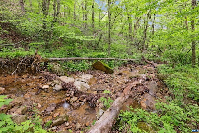 134 Gumtree Dr, Wintergreen Resort, VA 22967 - view of tree filled area