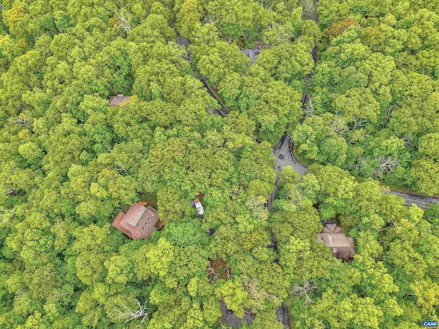 134 Gumtree Dr, Wintergreen Resort, VA 22967 - aerial overview of property's location with a forest
