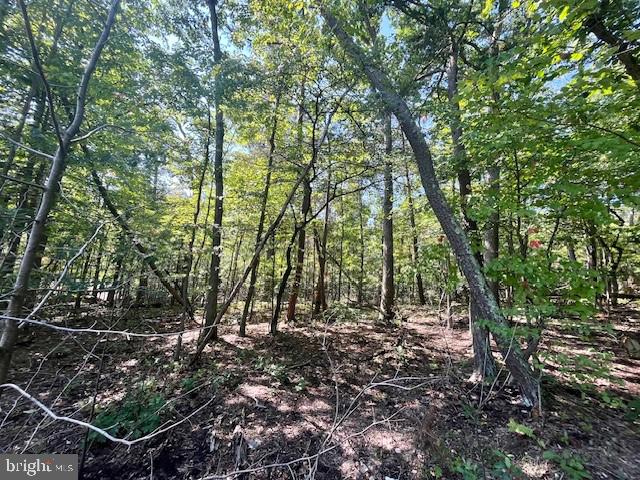 Cardinal Dr, Luray, VA 22835