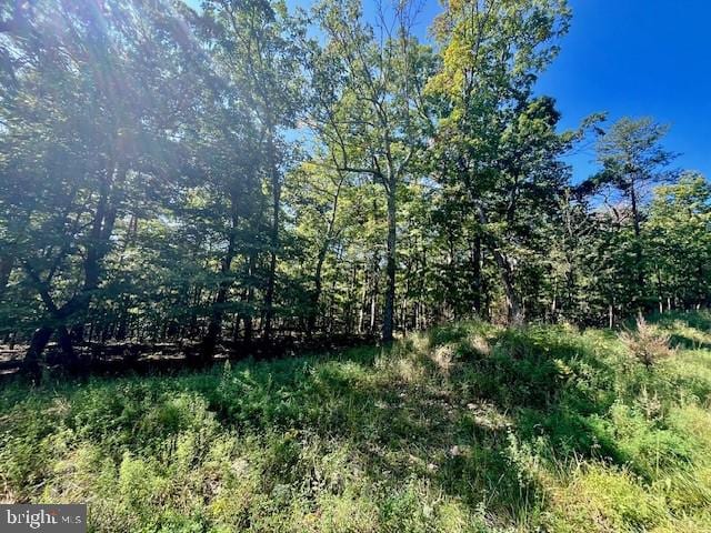 Cardinal Dr, Luray, VA 22835