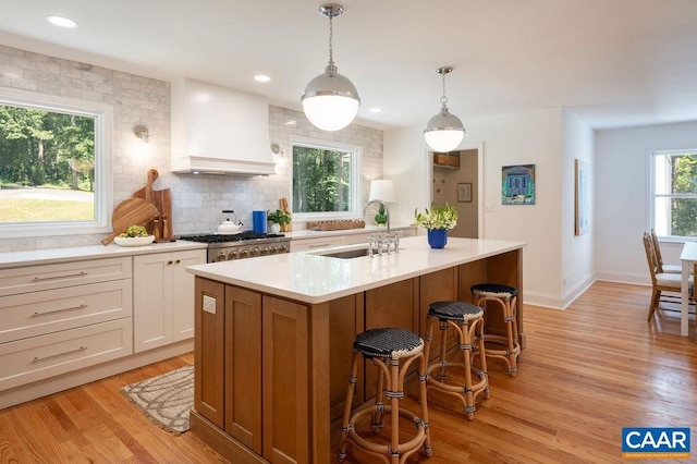 209 Montvue Dr, Charlottesville, VA 22901 - photo 9