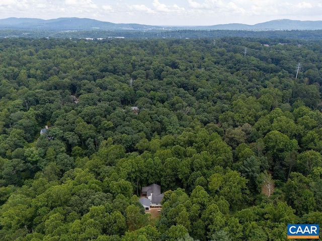 209 Montvue Dr, Charlottesville, VA 22901 - photo 2