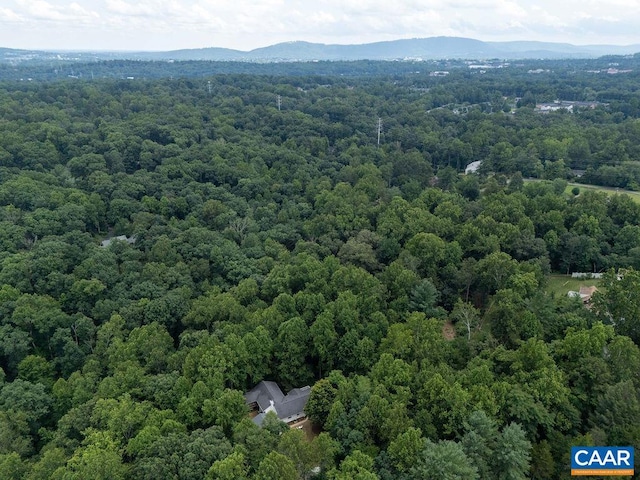 209 Montvue Dr, Charlottesville, VA 22901 - photo 47