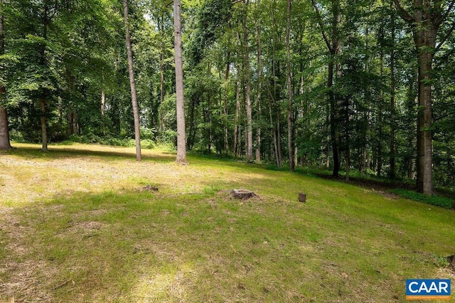 209 Montvue Dr, Charlottesville, VA 22901 - photo 41