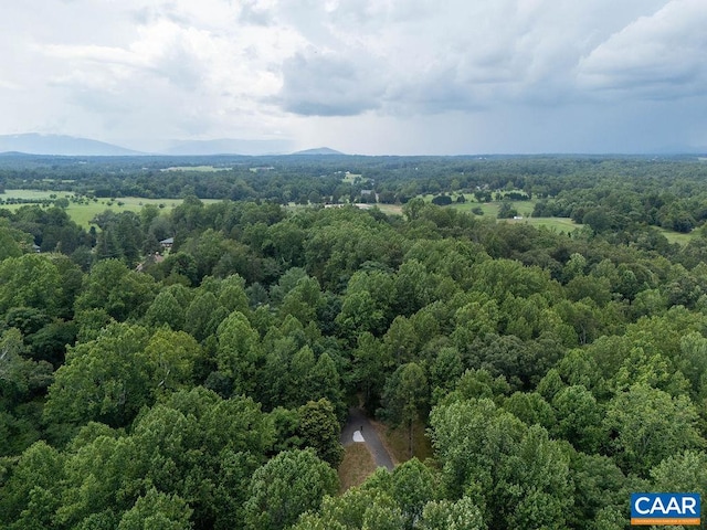 209 Montvue Dr, Charlottesville, VA 22901 - photo 46