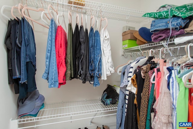 814 Cole St, Charlottesville, VA 22901 - view of spacious closet