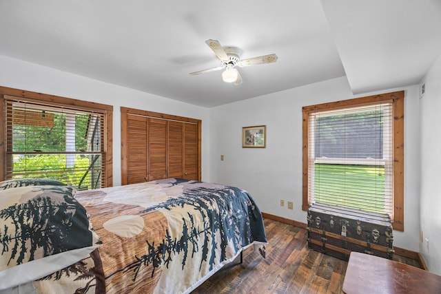 1215 Fort Stover Rd, Luray, VA 22835 - bedroom featuring hardwood / wood-style flooring, multiple windows, a closet, and a ceiling fan