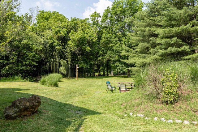 1215 Fort Stover Rd, Luray, VA 22835 - view of green lawn with a forest view