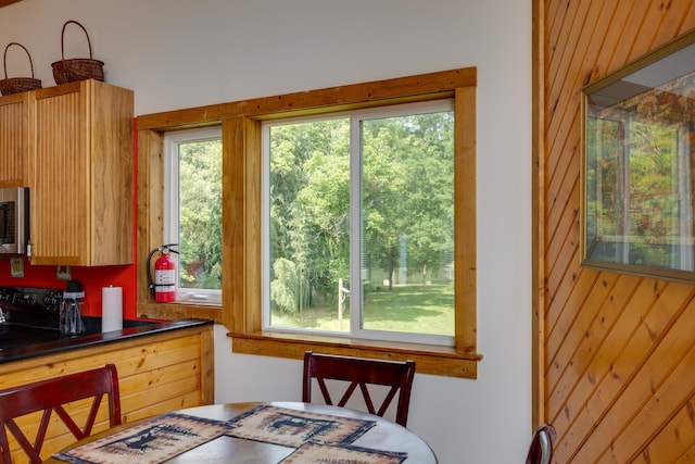 1215 Fort Stover Rd, Luray, VA 22835 - dining space with plenty of natural light and wooden walls