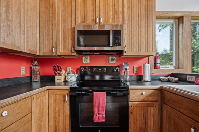 1215 Fort Stover Rd, Luray, VA 22835 - kitchen with stainless steel microwave, black / electric stove, and dark countertops