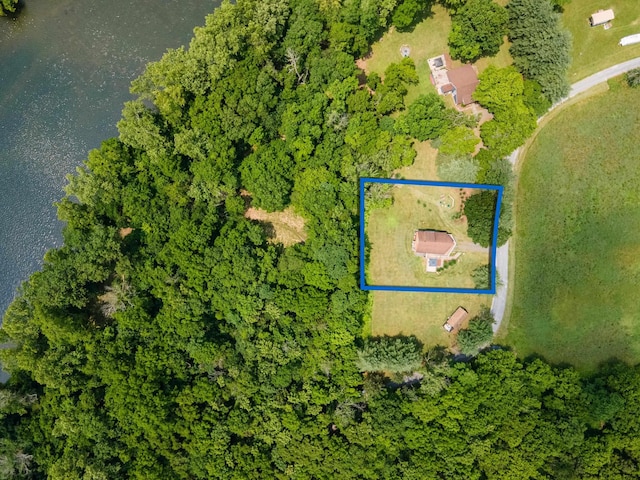 1215 Fort Stover Rd, Luray, VA 22835 - aerial overview of property's location with property boundaries highlighted
