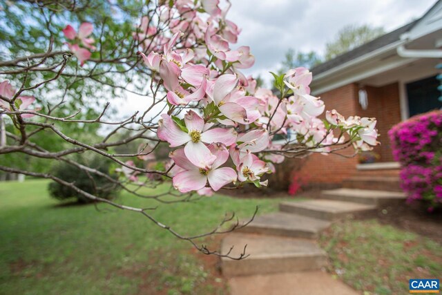 2750 Meriwether Dr, Charlottesville, VA 22901 - exterior view of brick siding