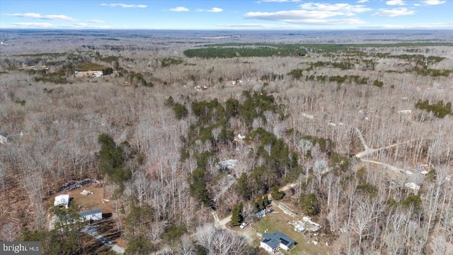 197 Holly Grove Ct, Bumpass, VA 23024 - aerial view of property and surrounding area featuring rural landscape
