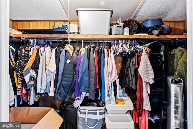 197 Holly Grove Ct, Bumpass, VA 23024 - view of closet