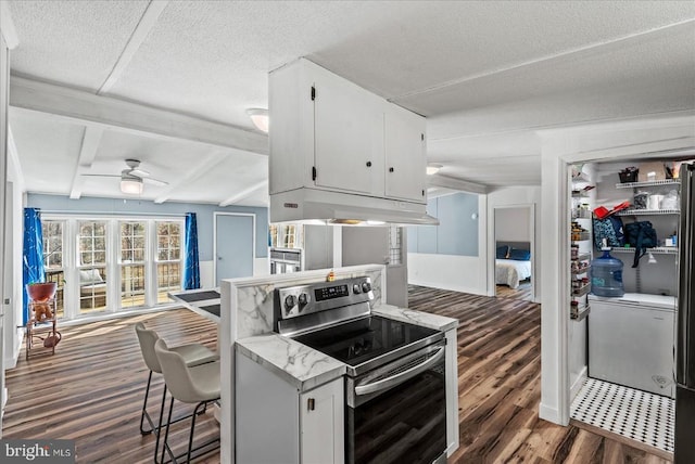 197 Holly Grove Ct, Bumpass, VA 23024 - kitchen with under cabinet range hood, stainless steel range with electric cooktop, dark wood-type flooring, white cabinets, and ceiling fan