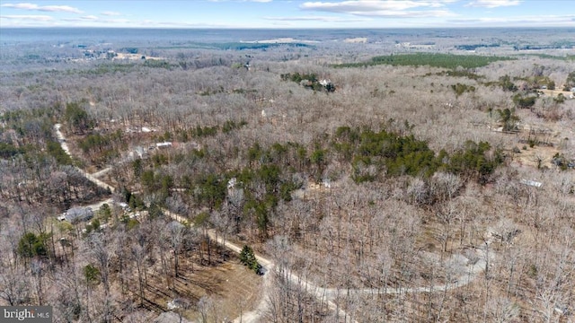 197 Holly Grove Ct, Bumpass, VA 23024 - view of property location with a forest