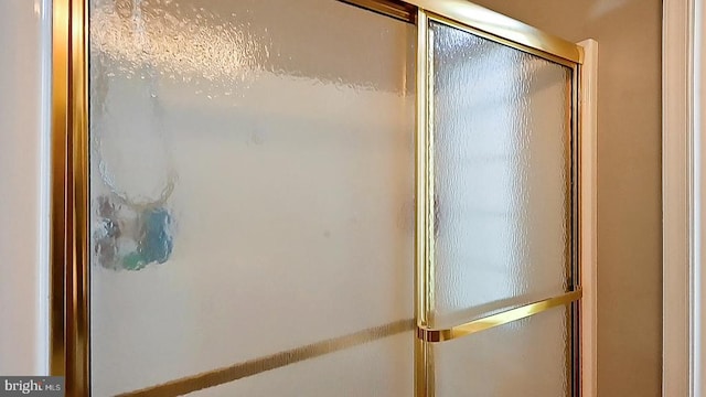 35326 Gosling Ln, Locust Grove, VA 22508 - detailed view of a shower with shower door