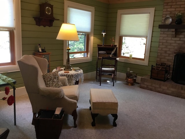 2010 High Valley Dr, Franklin, WV 26807 - photo 22