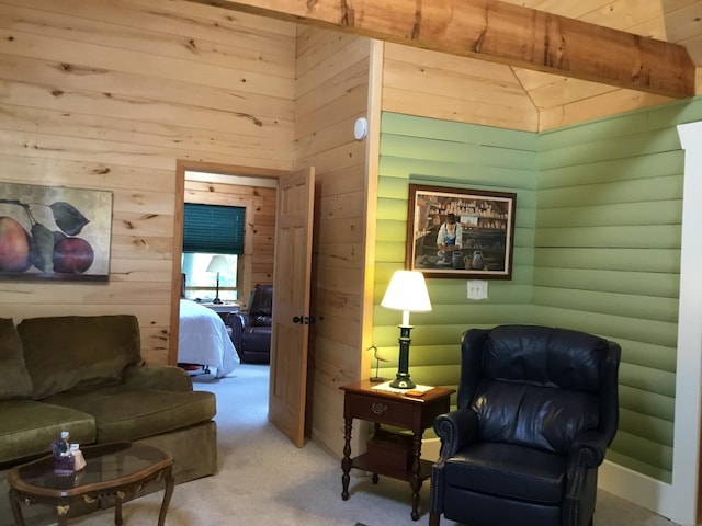 2010 High Valley Dr, Franklin, WV 26807 - photo 24