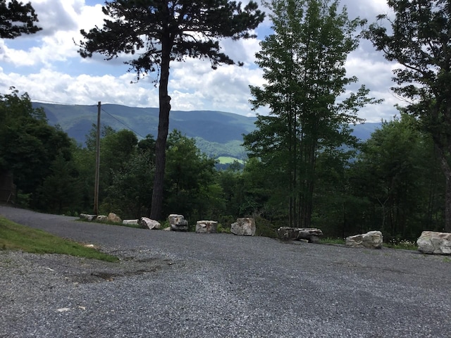 2010 High Valley Dr, Franklin, WV 26807 - photo 15