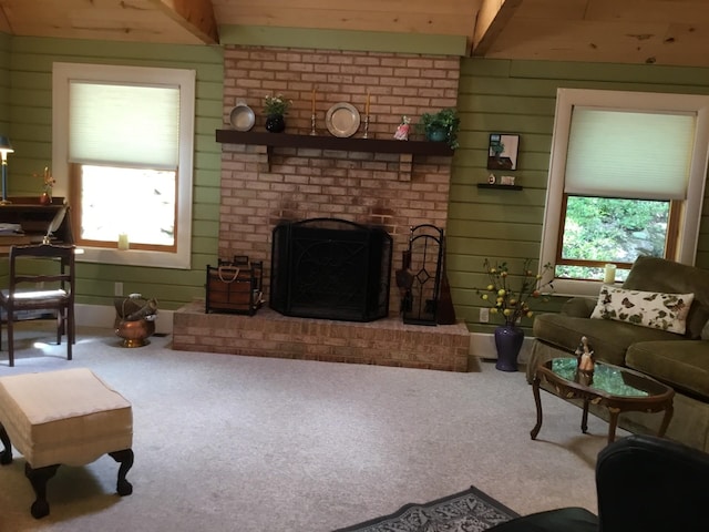 2010 High Valley Dr, Franklin, WV 26807 - photo 20