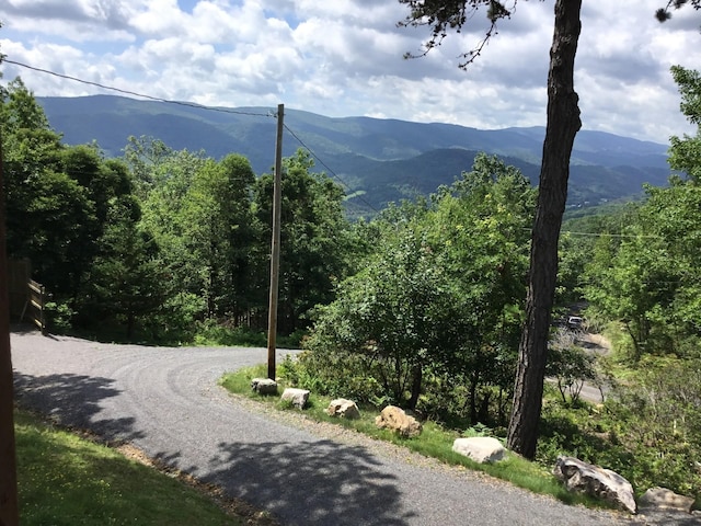 2010 High Valley Dr, Franklin, WV 26807 - photo 17