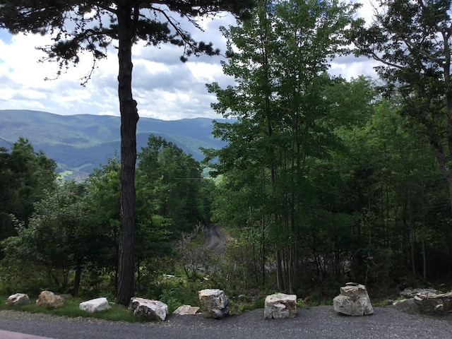 2010 High Valley Dr, Franklin, WV 26807 - photo 16