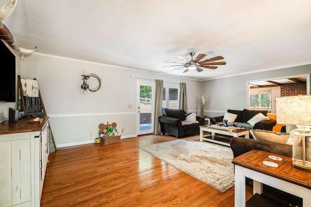 115 Pheasant Rd, Mcgaheysville, VA 22840 - living area featuring light wood-type flooring, a ceiling fan, crown molding, and baseboards