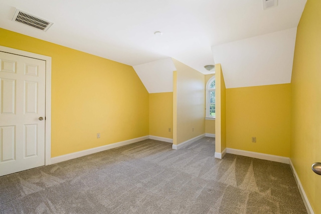 2554 Village Dr, Waynesboro, VA 22980 - bonus room with carpet and vaulted ceiling
