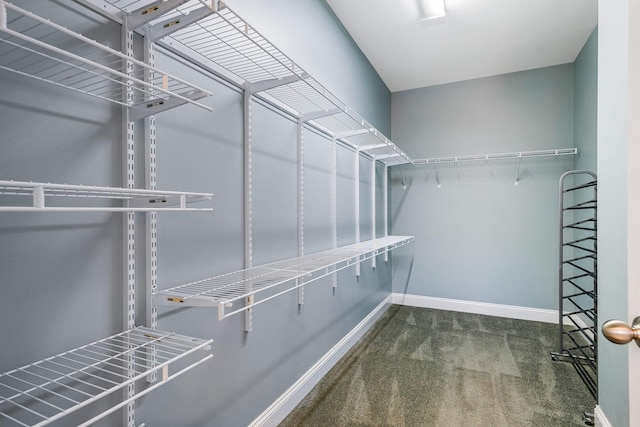 2554 Village Dr, Waynesboro, VA 22980 - walk in closet with carpet flooring
