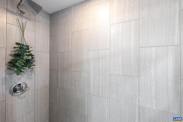 6760 Courthouse Rd, Louisa, VA 23093 - interior details with a tile shower