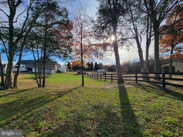 view of yard