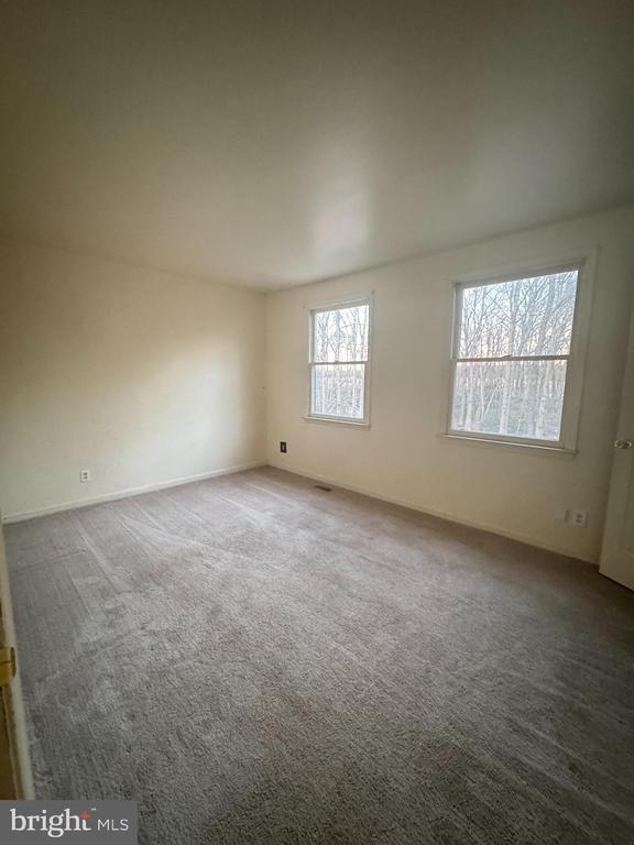 unfurnished room with carpet flooring