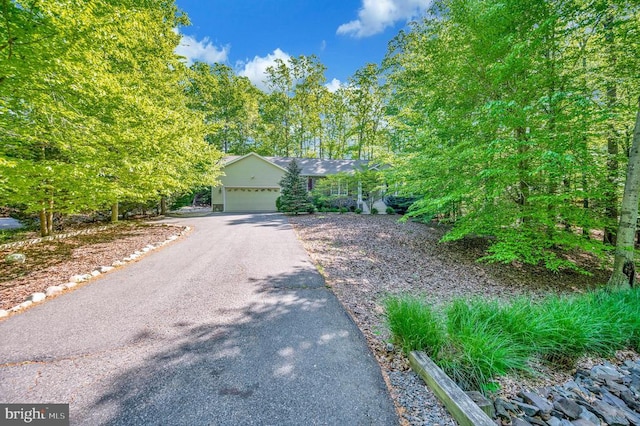 104 Tall Pines Ave, Locust Grove, VA 22508 - view of property hidden behind natural elements featuring driveway and an attached garage