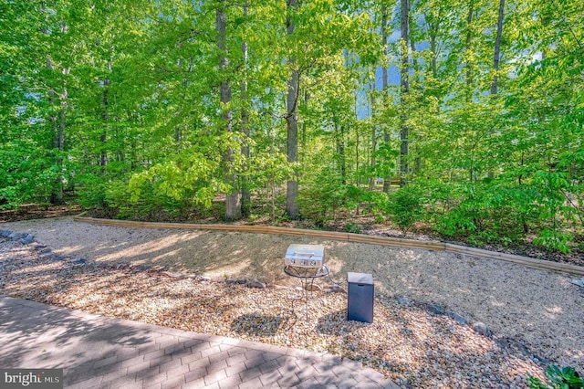104 Tall Pines Ave, Locust Grove, VA 22508 - view of yard