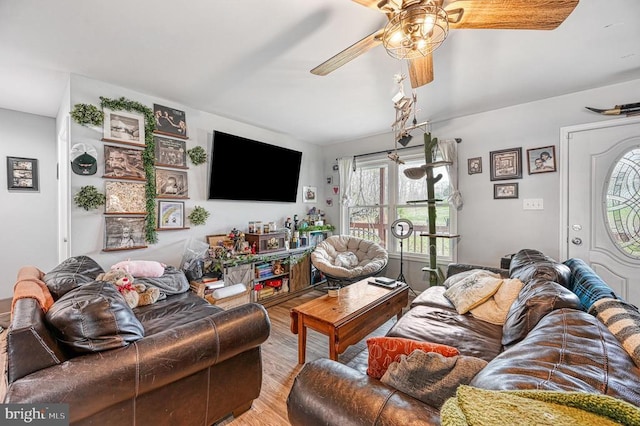 living room featuring a ceiling fan and wood finished floors